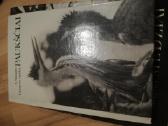 Tadas Ivanauskas ,g.isokas ,fauna ,draustiniai-kny - nuotraukos Nr. 38