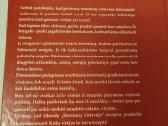 Berniukai virtuvėje - nuotraukos Nr. 7