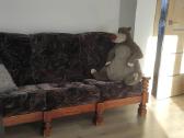 Vintažinė sofa - nuotraukos Nr. 2