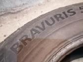 Bravuris - nuotraukos Nr. 5
