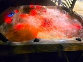 Župė Dream House su jacuzzi ir pirtimi - nuotraukos Nr. 10