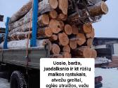 Malkos vežu į Vilnių, Alytų, Kauną, Prienus, Drusk - nuotraukos Nr. 17