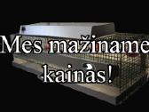Putpelių narvai. Augintuvės.