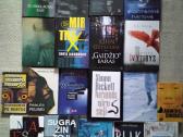 Raymond Chandler Privatus seklys (II tomas) - nuotraukos Nr. 16