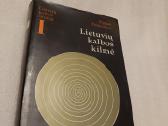 Lietuvių kalbos kilmė