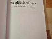Po lelijėlės vėliava - nuotraukos Nr. 2