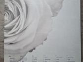 Depeche Mode - Best of, 3xlp - nuotraukos Nr. 2