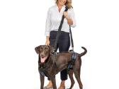 Reabilitacinės Petsafe Carlift Harness petnešos - nuotraukos Nr. 4