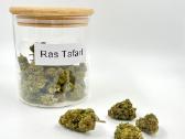 Cbd produkcija