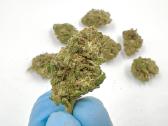 Cbd produkcija - nuotraukos Nr. 7