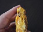 Baltijos gintaras