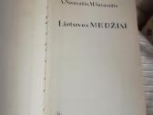 Sena knyga''lietuvos medžiai'' - nuotraukos Nr. 5