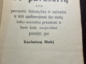 Kazys Binkis - 100 Pavasarių. 1926m. - nuotraukos Nr. 2