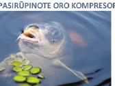 Aukštos Kokybės Orapūtės Tvenkiniui - nuotraukos Nr. 3