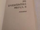 Po dvidešimties metų - nuotraukos Nr. 2
