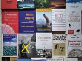 Kelionė namo: amerikiečio jogo autobiografija - nuotraukos Nr. 8