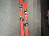 Slidės Elan 160cm