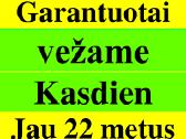 Kasdieną vežame į Angliją, Vokietiją Olandiją - nuotraukos Nr. 13