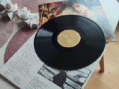 Enya vinilas - nuotraukos Nr. 7