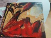 Enya vinilas - nuotraukos Nr. 2