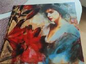 Enya vinilas