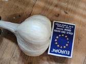 Parduodami ekologiški dideli česnakai - nuotraukos Nr. 4