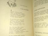 1942 Literatūros metraštis su kalendorium - nuotraukos Nr. 5