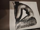 Parduodu R. Dichavičiaus foto albumą - nuotraukos Nr. 3
