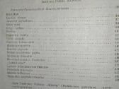 J. Lindė Dobilas - Blūdas, Lazdynų Pelėda - Klaida - nuotraukos Nr. 8