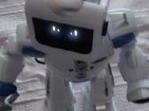 Robotas Robertas