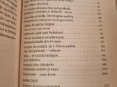 Pinigų medis - nuotraukos Nr. 3