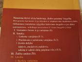 Leksika - skolinių vartojimas - nuotraukos Nr. 4