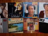Geros kokybes vinilines ploksteles - nuotraukos Nr. 15