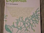 Dekoratyviniai krūmai - nuotraukos Nr. 4