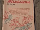 Dekoratyviniai krūmai - nuotraukos Nr. 5