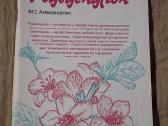 Dekoratyviniai krūmai - nuotraukos Nr. 7
