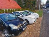 Nuoma Lietuvoje Prius,auris,plus+ 120/150/165/185 - nuotraukos Nr. 13