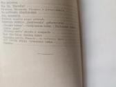N. Jakovlevas "Franklinas Ruzveltas" - nuotraukos Nr. 5