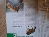 Arklių auginimas - nuotraukos Nr. 3