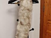 Sidabrinės lapės apykaklė 103cm, 60 Eur - nuotraukos Nr. 2