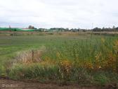 Parduodamas 1,1090 Ha Namų Valdos Sklypas - nuotraukos Nr. 7