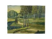 Drobė aliejus 79.5x60 см kaina 25 eurai