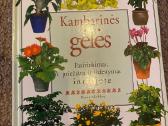 Parduodama knyga apie kambarines gėles