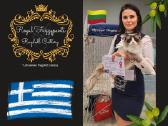 Supreme Champion Alvin Royal Fuzzypants*lt - nuotraukos Nr. 4