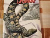 Šventųjų gyvenimai