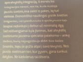Emigrantės dienoraštis - nuotraukos Nr. 6