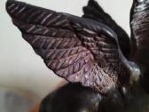 Pegasas - nuotraukos Nr. 2