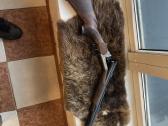 Blaser - nuotraukos Nr. 6