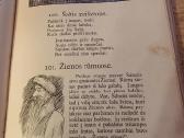1937m.m.šlaža knyga "Darželis" 2d. - nuotraukos Nr. 5