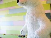 Meškinas 350 - nuotraukos Nr. 3